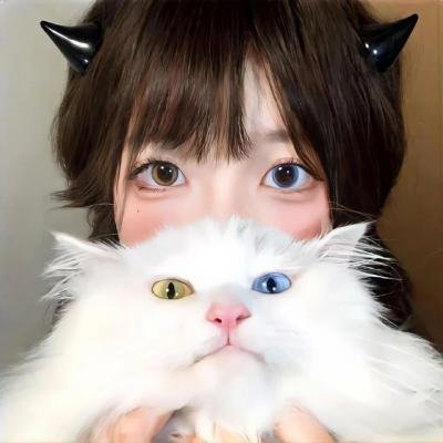 蜂蜜与四叶草