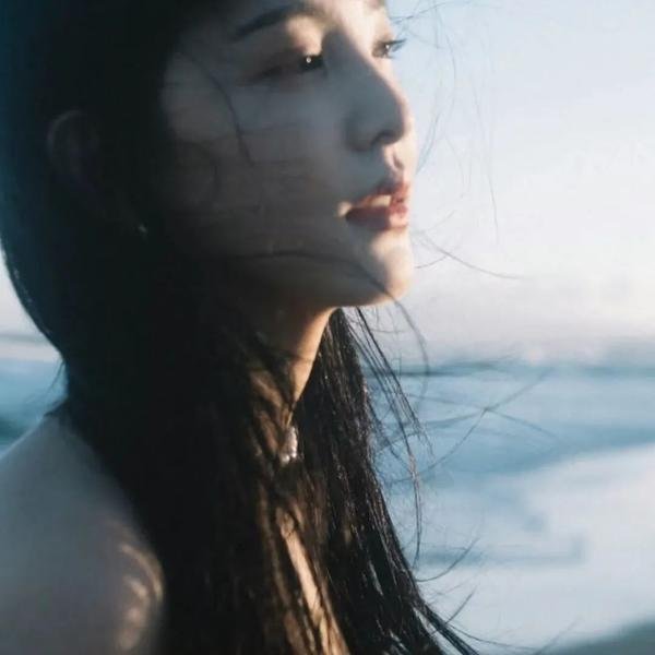 兰闺飞凤